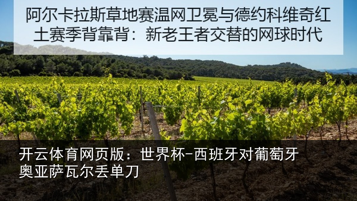 开云体育网页版:世界杯-西班牙对葡萄牙奥亚萨瓦尔丢单刀