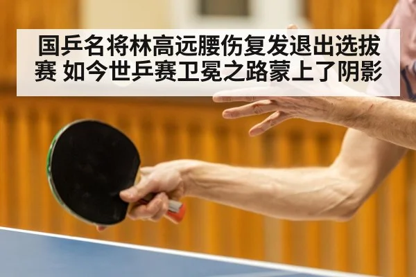 国乒名将林高远腰伤复发退出选拔赛 如今世乒赛卫冕之路蒙上了阴影